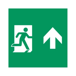 Фото #1 товара Пиктограмма EMGP-MARK-MA-UP (Человек, Вверх) (Arlight, Пластик)