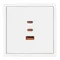 Минифото #4 товара Механизм розетки с быстрой USB зарядкой SCT-NOBE-MUACC-SFPL-FC-WH (65W, QC3) (Arlight, -)