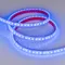Минифото #2 товара Светодиодная лента RTW 2-5000PGS 12V Blue 2x (3528, 600 LED) (Arlight, 9.6 Вт/м, IP67)