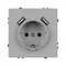 Минифото #3 товара Механизм розетки с USB зарядкой SCT-NOBE-MUAA-SFPL-IS (230V, 16A)  (Arlight, Никель)