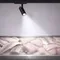 Минифото #2 товара Светильник LGD-GERA-4TR-R74-20W Cool SP7500-Fish (Белый, 15 deg, 230V) (Arlight, IP20 Металл, 5 лет)